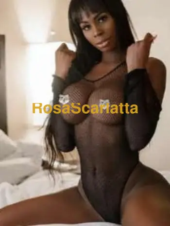 Foto 1 di Alba, escort a Bologna