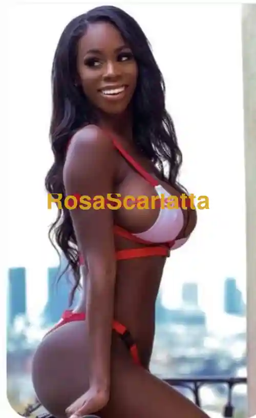 Foto 3 di Alba, escort a Bologna