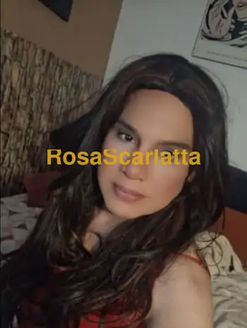 A curno linda love tx