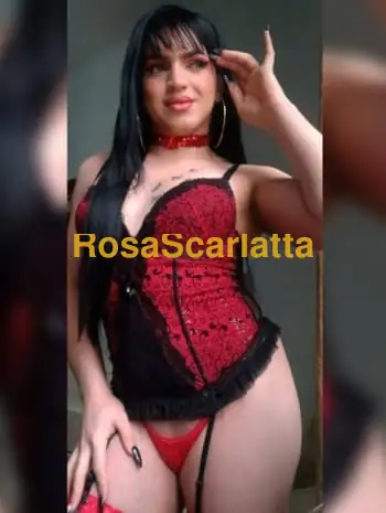 zona tor tre teste vieni a divertirti foto 100% reale!!!!