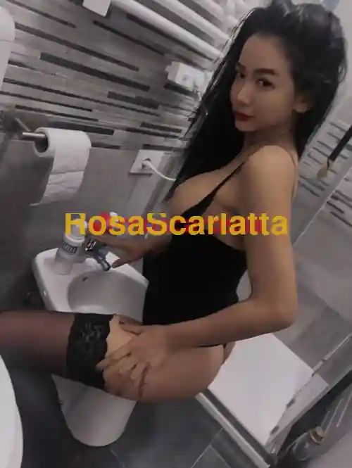 Seconda immagine della gallery