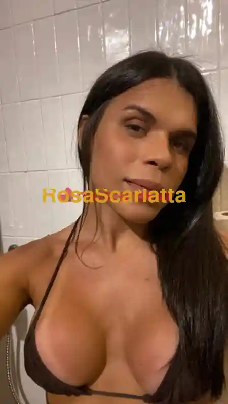 Seconda immagine della gallery