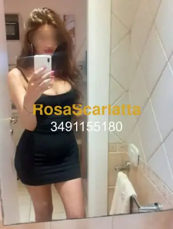 Siciliana doc