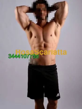 New