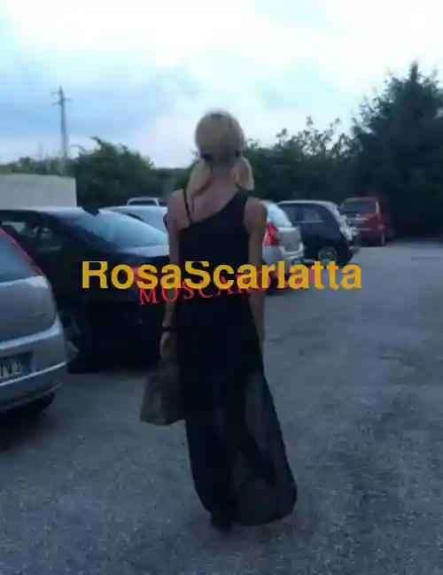 Foto 3 di trans a San Bonifacio