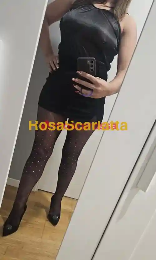 Seconda immagine della gallery