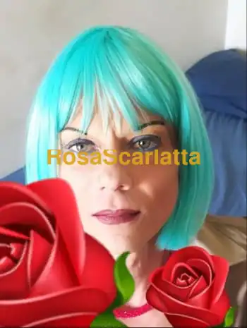 Angelica bellissima trav