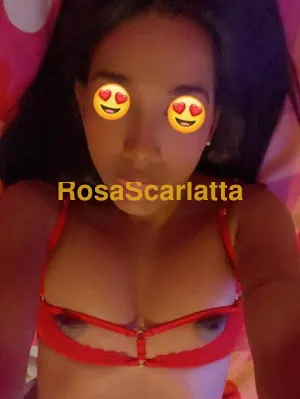 ciao sono luna appena arrivata in italia parlo spagnolo inglese e poco poco italiano novitauna ragazza amante del sesso foto 100% reali ti aspetto