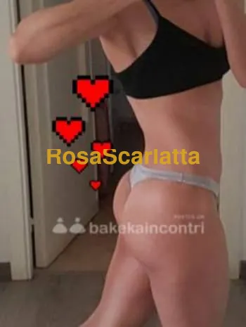 Bb