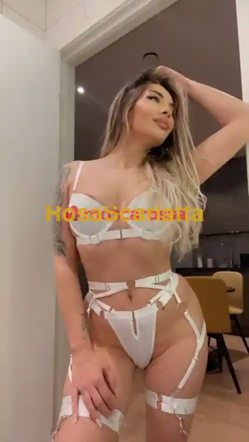 Foto 3 di Eva, escort a Bologna