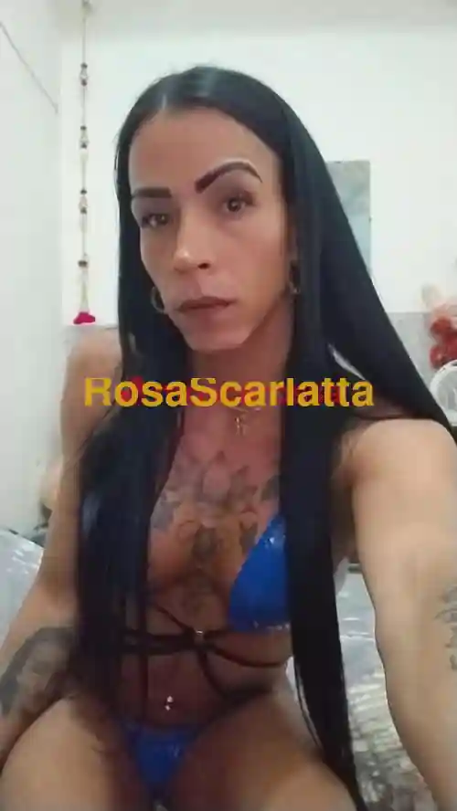 Foto 3 di trans a Roma