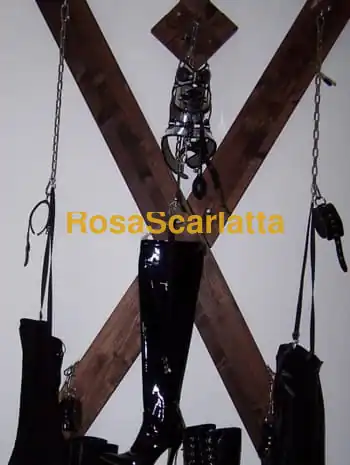 monteverde misstress lady pantera