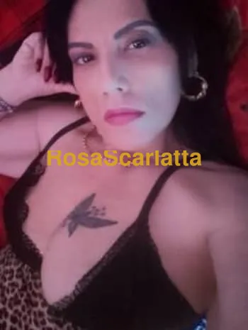 Lisa italiana