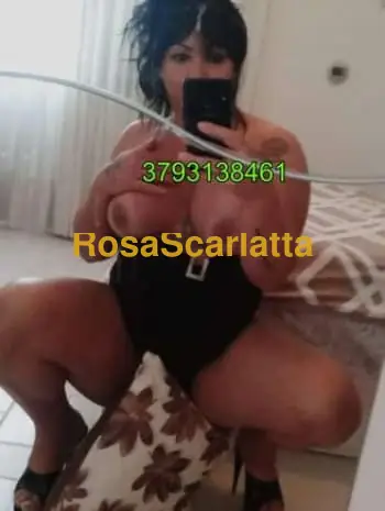 Novita