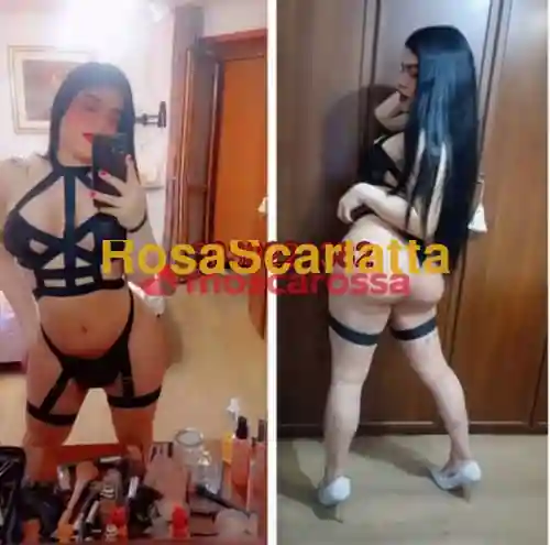 Foto 3 di New, trans a Pistoia