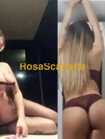 Alice trans italiana