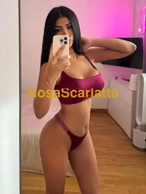 Catalina