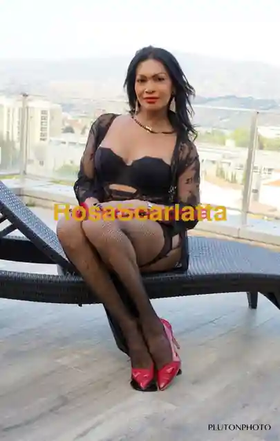 Terza immagine della gallery