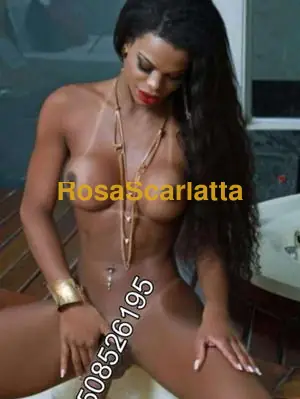 Lilly - Trans Palermo