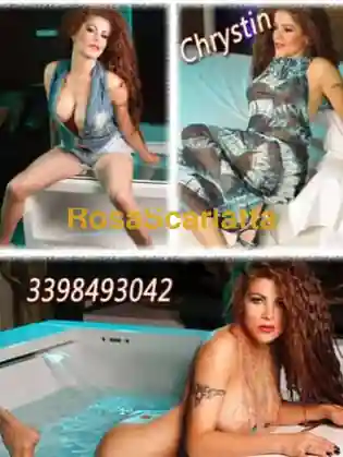 Chrystin bergamo