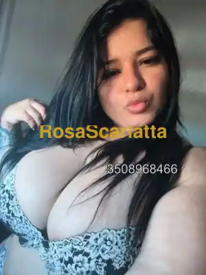 New