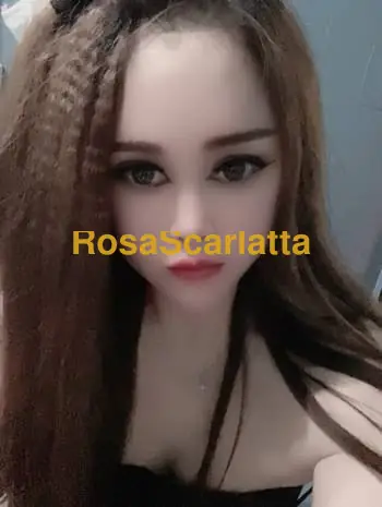 Lili - Solbiate Olona