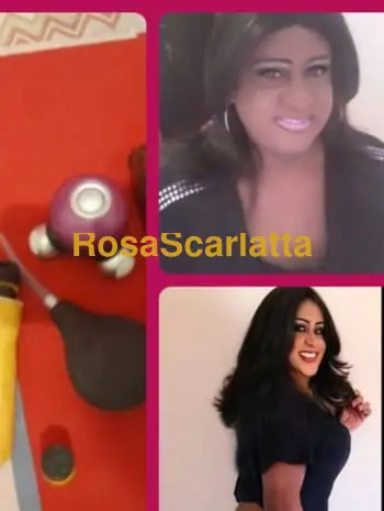 Sara