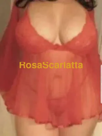New