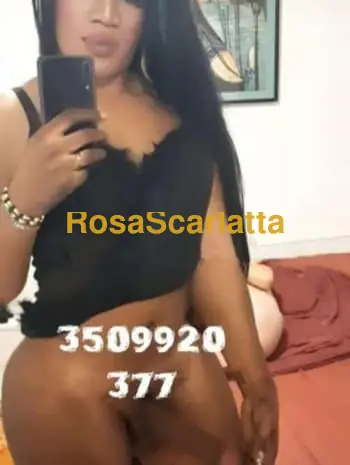 New