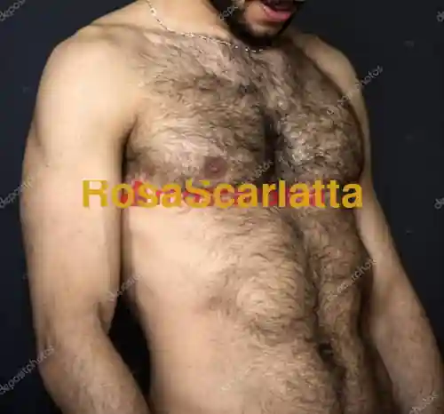 Seconda immagine della gallery