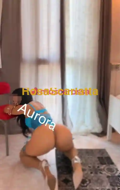 Seconda immagine della gallery