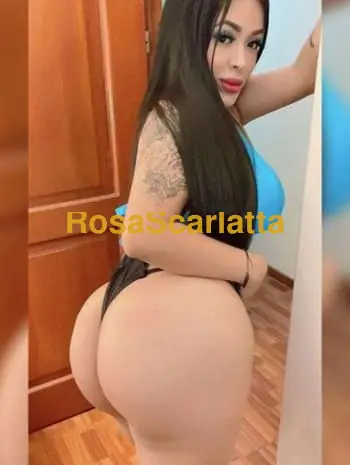 Troia
