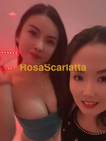 Apertura nuova - Udine