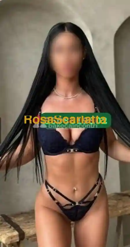 Foto 3 di Sofia, escort a Montevarchi