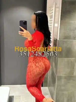 New