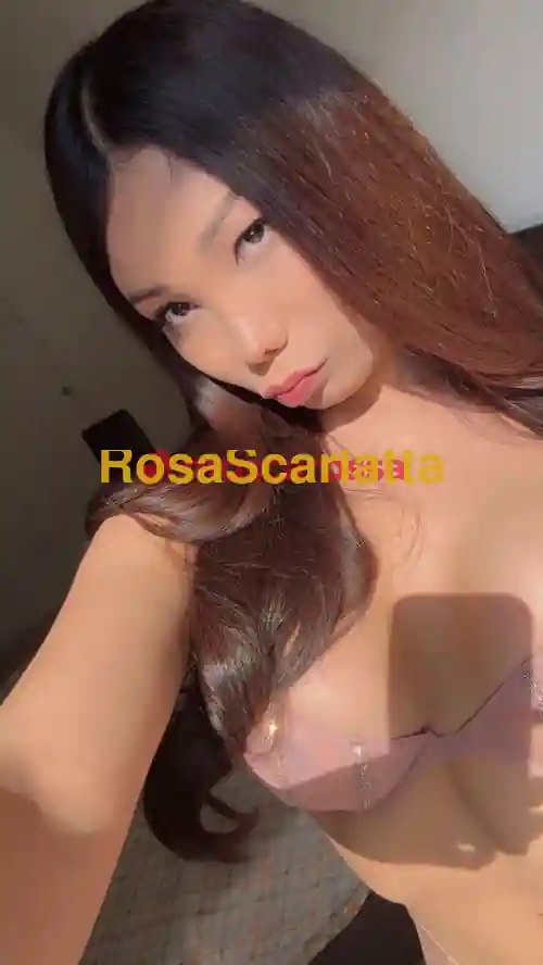 Seconda immagine della gallery