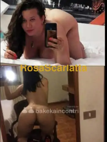 Foto 1 di Safira cristina, escort a Stella