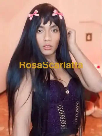 Camillinha bambolina