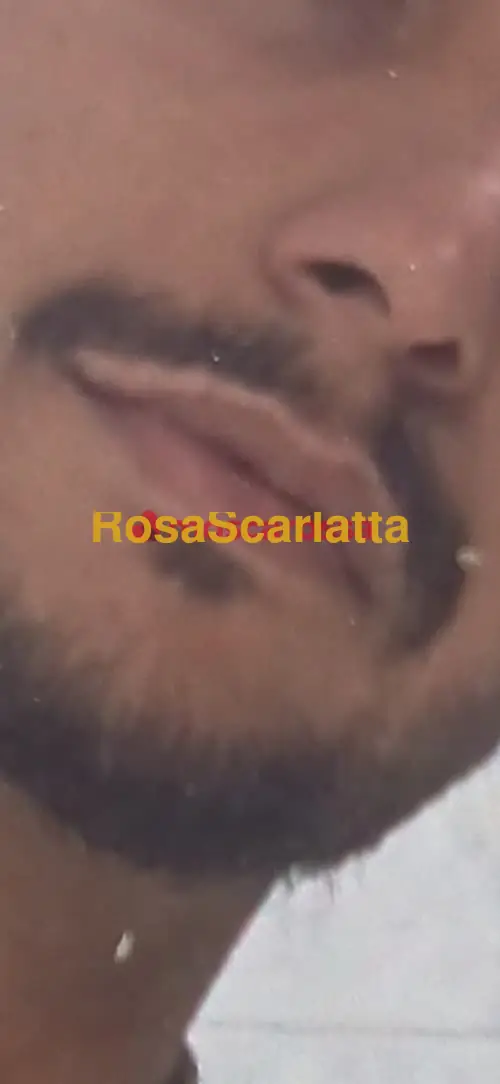 Seconda immagine della gallery