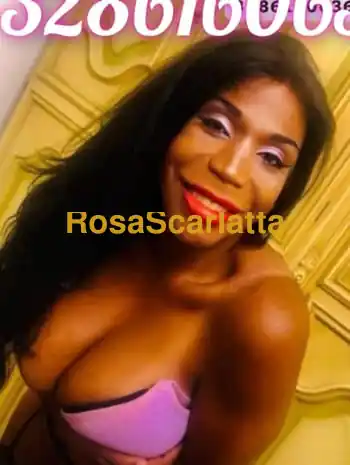 Bianca