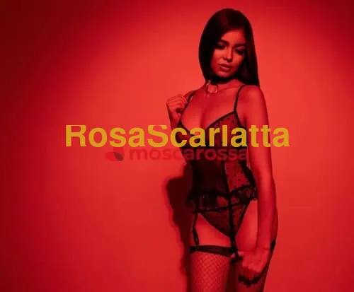 Seconda immagine della gallery