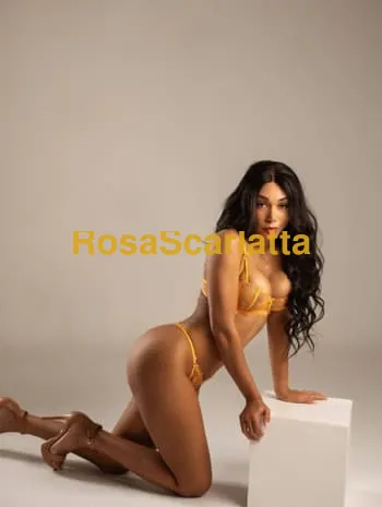 bnevenuti nel mio profilo , piacere sono mia rosa , con me puoi avere momenti unici e indimenticabili