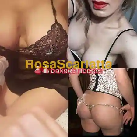 Foto 2 di Anaconda, trans a Aulla