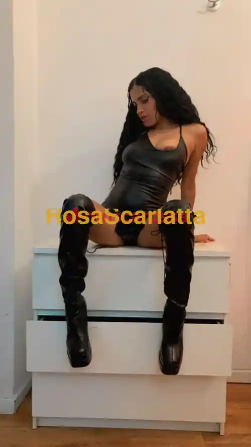 Seconda immagine della gallery