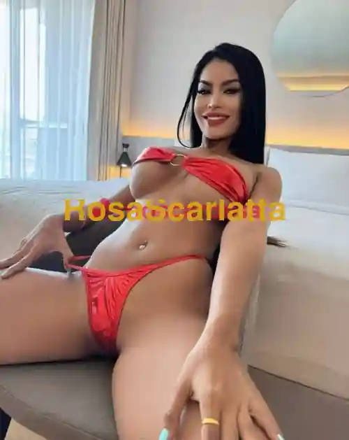 Seconda immagine della gallery