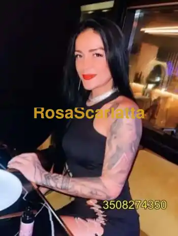 New