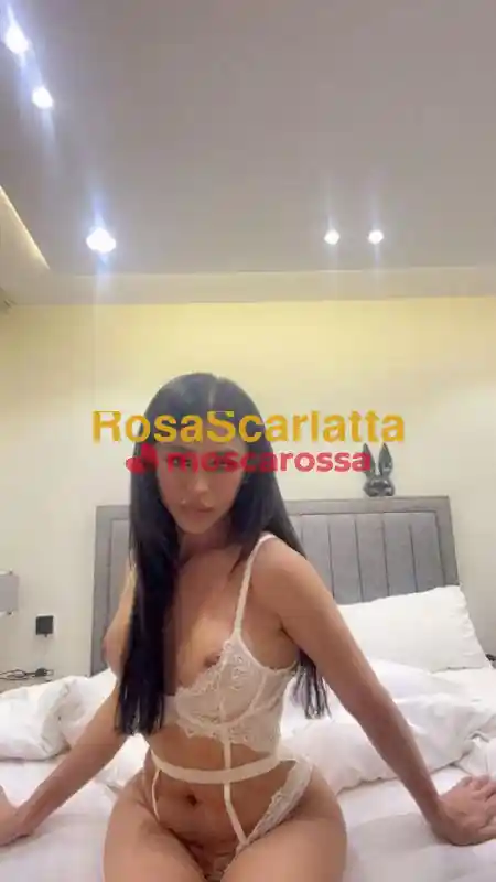 Foto 2 di Myra thai, trans a Voghera