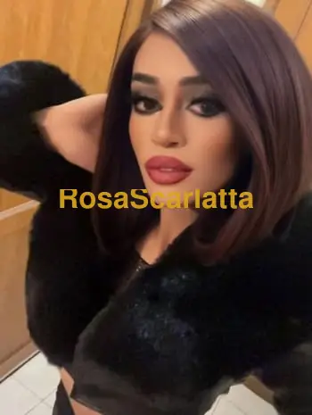 Transex ayicha - Torino