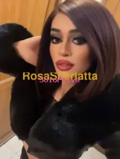 Transex ayicha