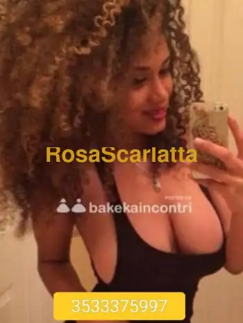 Wendy - Escort Civitanova Marche